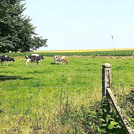 Maison à La Campagne,à Saint-amand, Pas-de-calais * Saint-Amand (Pas-de-Calais)